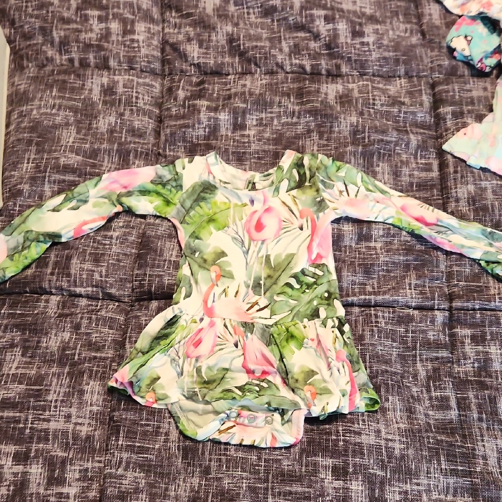 Little Bum Bums (Now Bums And Roses) Flamingo Bodysuit Twirl Dress